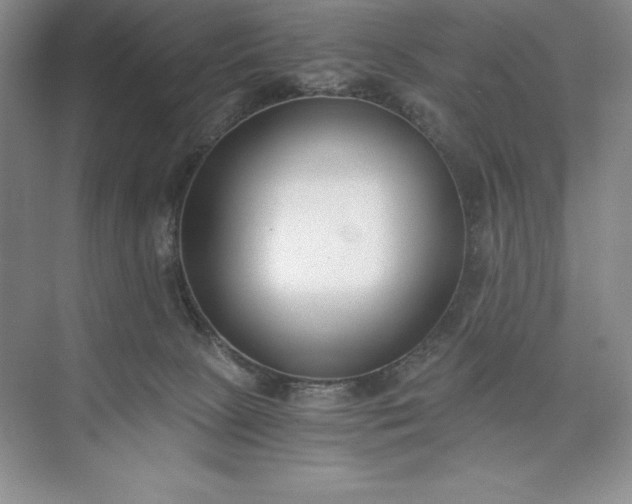 X0000073510081200608140945