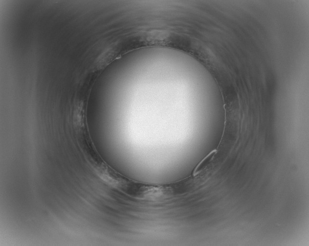 X0000073510083200608140945