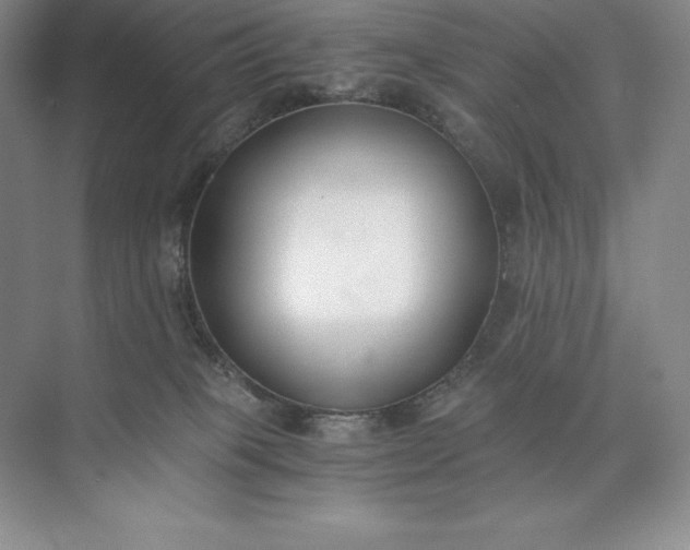 X0000073510085200608140945