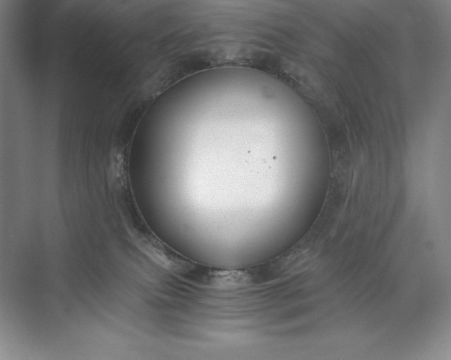 X0000073510087200608140945