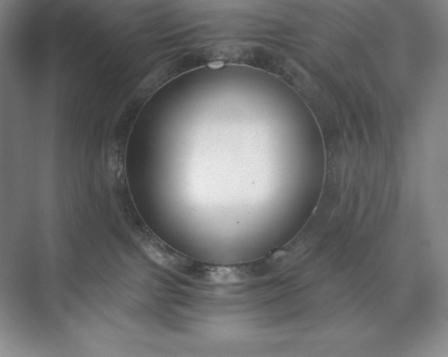 X0000073510091200608140945