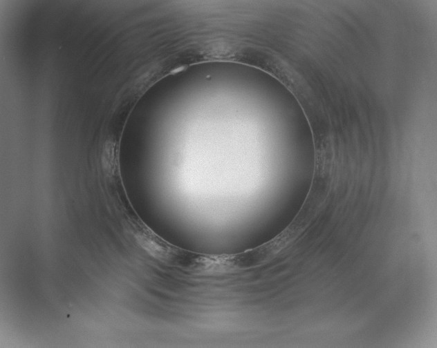 X0000073510093200608140945