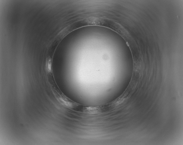 X0000073510095200608140945