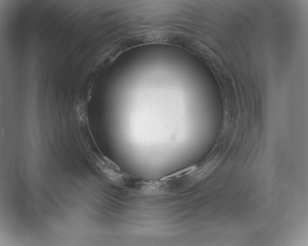 X0000073510096200608140945