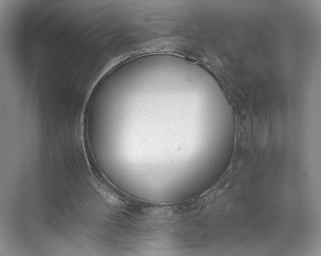 X0000073510100200608140944