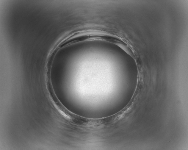 X0000073510101200608140944