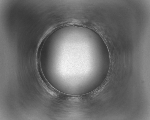X0000073510102200608140944