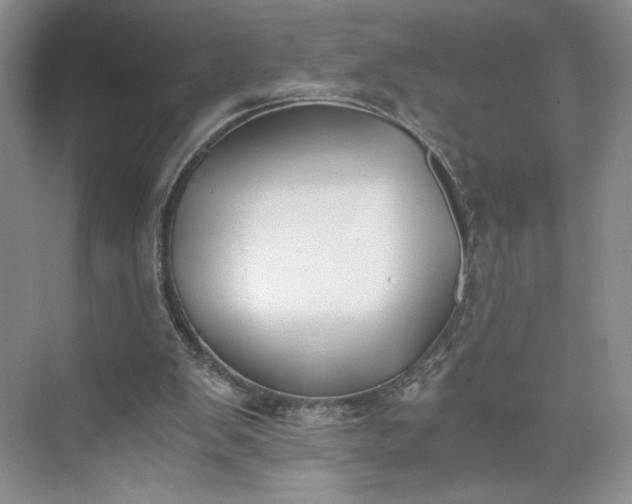 X0000073510103200608140944