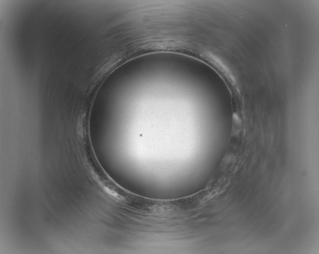 X0000073510105200608140944