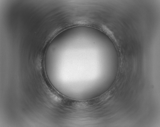 X0000073510106200608140944