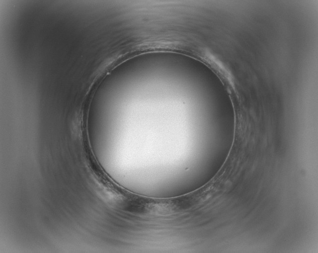 X0000073510107200608140944