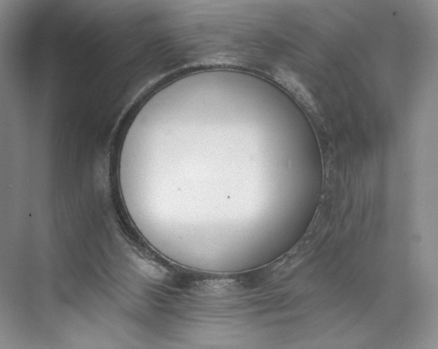X0000073510108200608140944