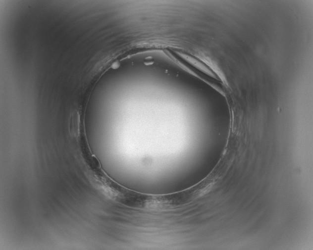 X0000073510109200608140944