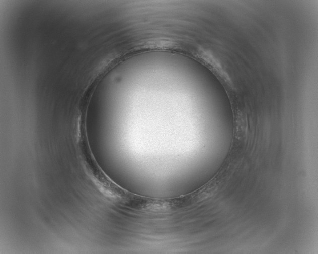 X0000073510110200608140944