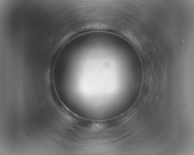 X0000073510111200608140944