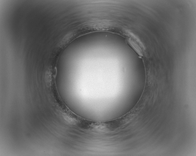 X0000073510113200608140944