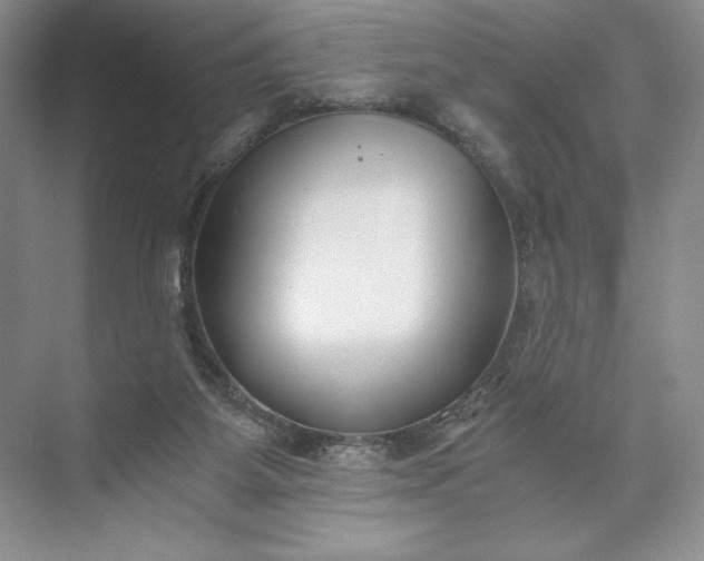 X0000073510115200608140944