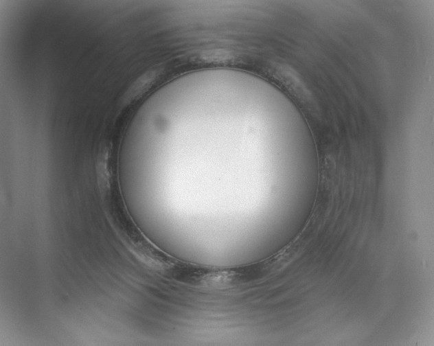 X0000073510116200608140944
