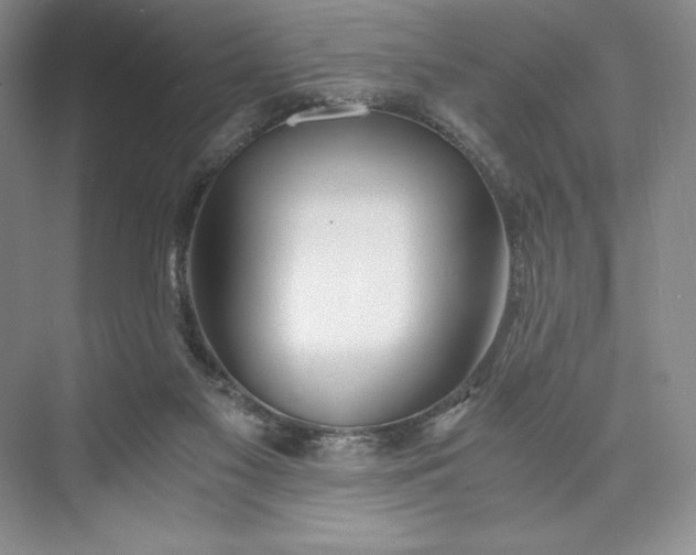 X0000073510117200608140944