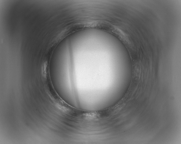 X0000073510118200608140944