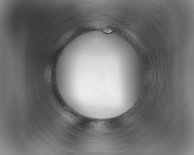 X0000073510120200608140944