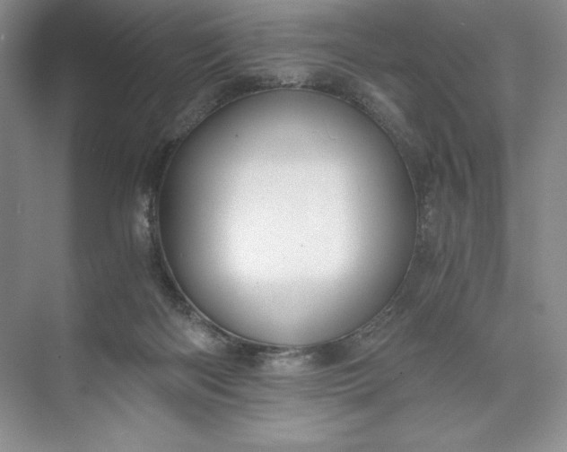 X0000073510122200608140944