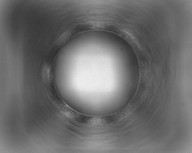 X0000073510123200608140944