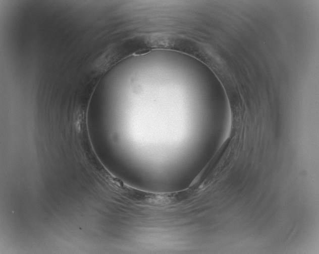 X0000073510125200608140944