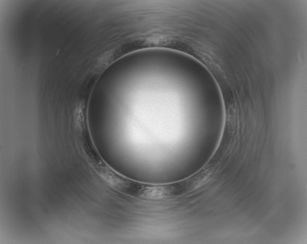 X0000073510127200608140944