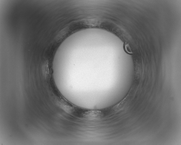 X0000073510128200608140944