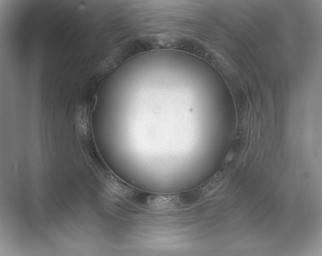 X0000073510129200608140944