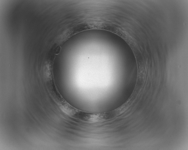 X0000073510130200608140944