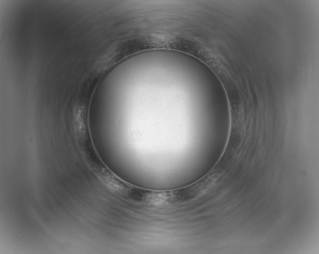 X0000073510131200608140944