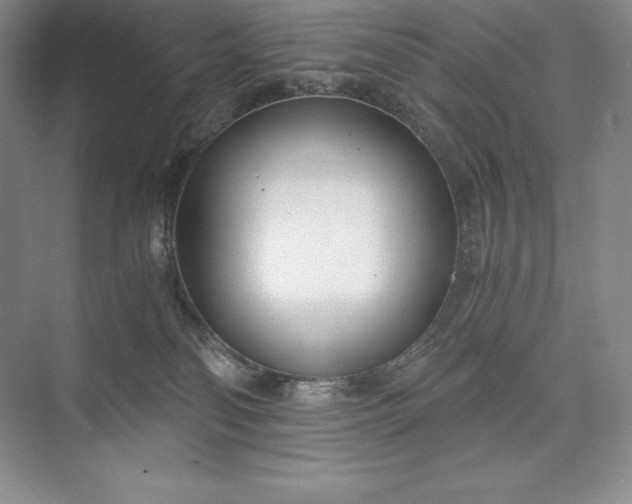X0000073510134200608140944