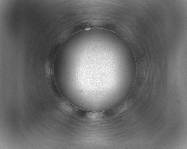 X0000073510135200608140944