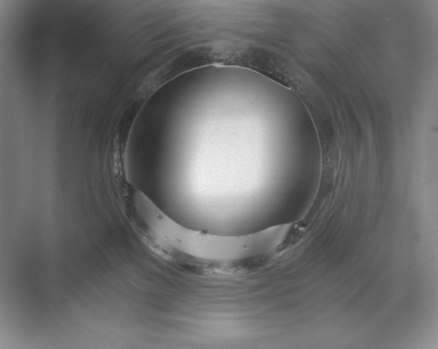 X0000073510137200608140944