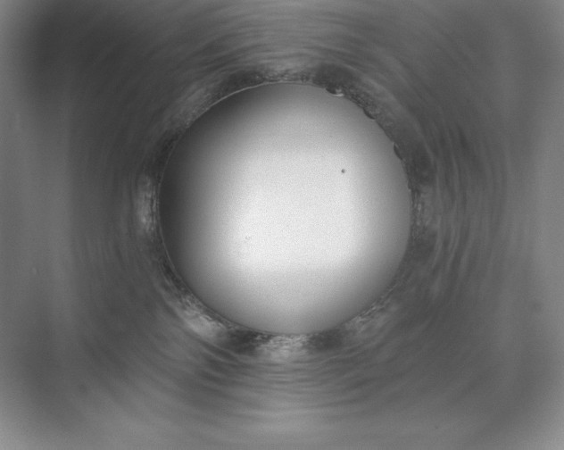 X0000073510138200608140944