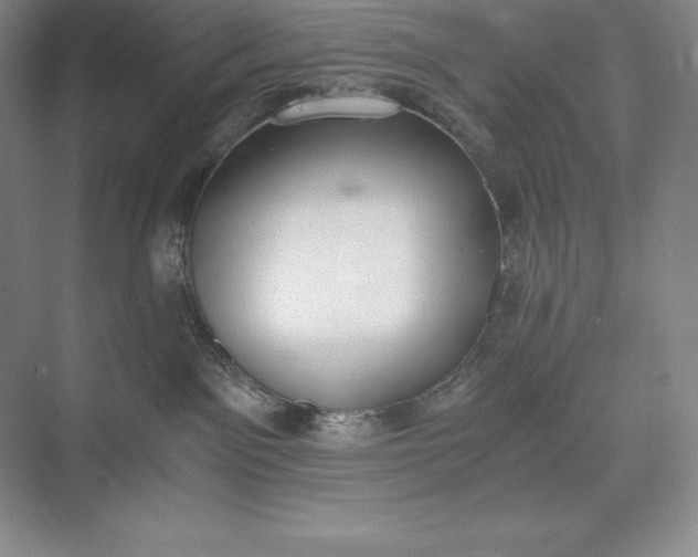 X0000073510141200608140944
