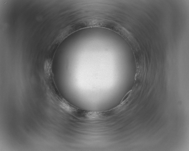 X0000073510142200608140944