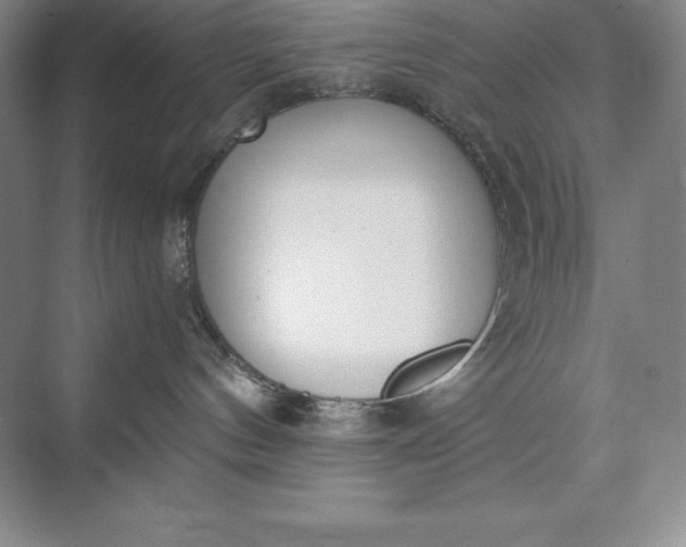 X0000073510144200608140944