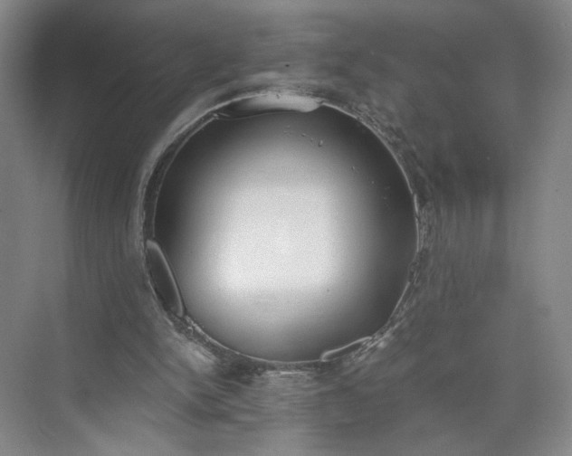 X0000073510150200608140943