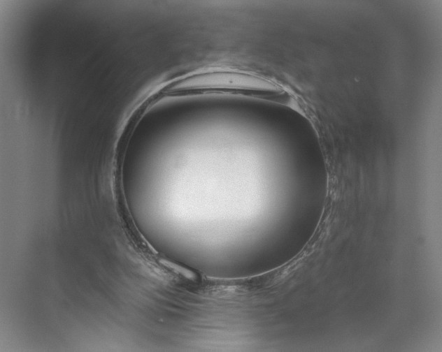 X0000073510152200608140943
