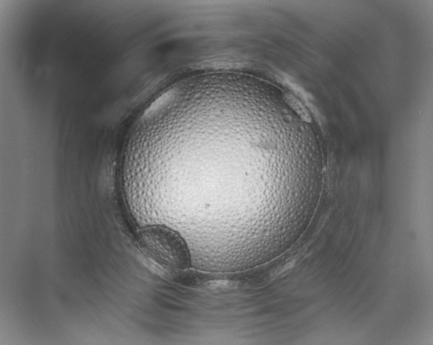 X0000073510153200608140943