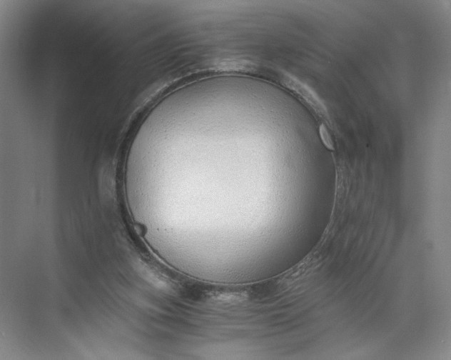 X0000073510155200608140943