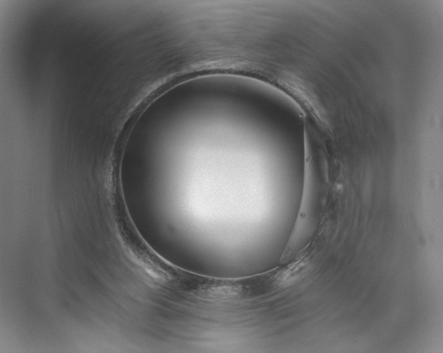 X0000073510156200608140943
