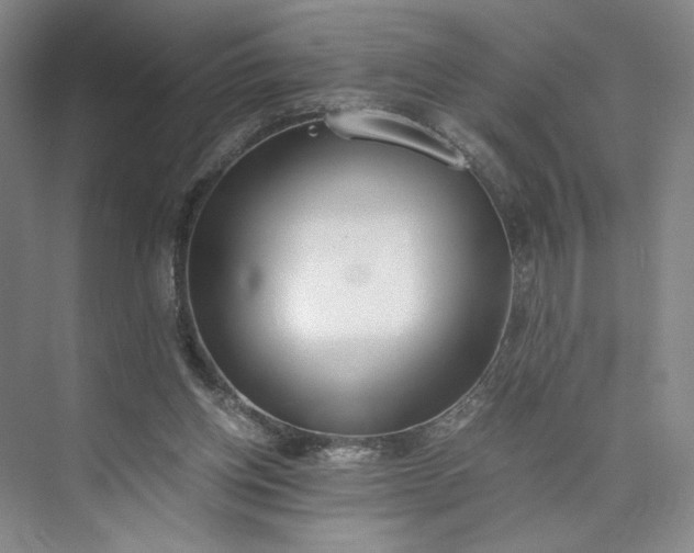 X0000073510158200608140943