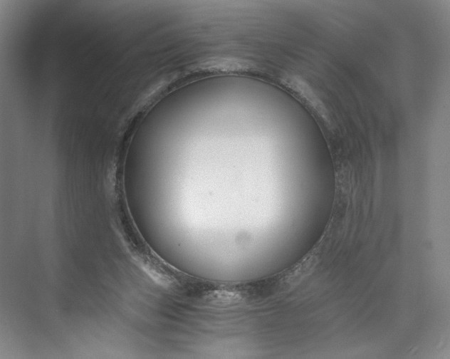 X0000073510159200608140943