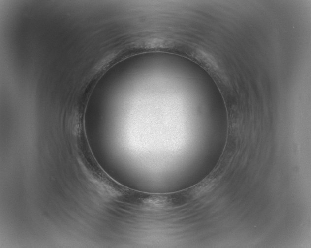 X0000073510164200608140943