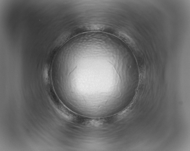 X0000073510166200608140943