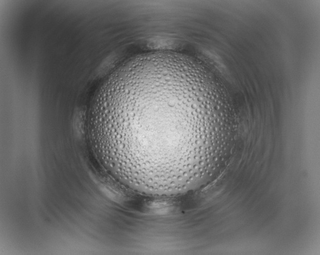 X0000073510171200608140943